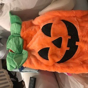 Doggie Pumpkin Costume